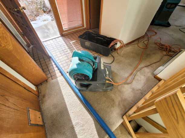 Carpet water damage restoration in Loveland, CO