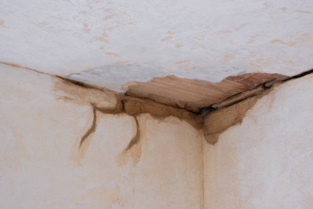Fire Damage Restoration in Loveland, CO