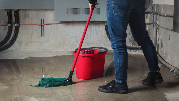 Carpet water damage restoration in Loveland, CO