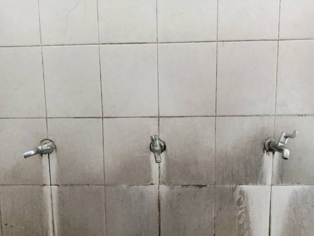 Best Mold removal after water damage  in Loveland, CO