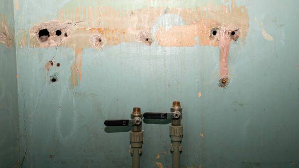 Best Water damage contractors near me  in Loveland, CO