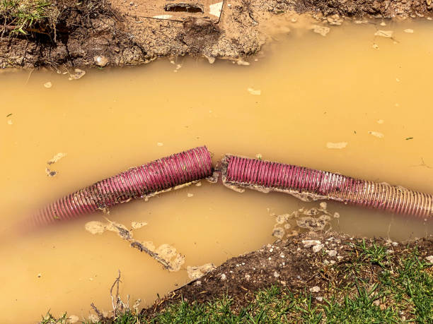 Best Flood restoration services  in Loveland, CO